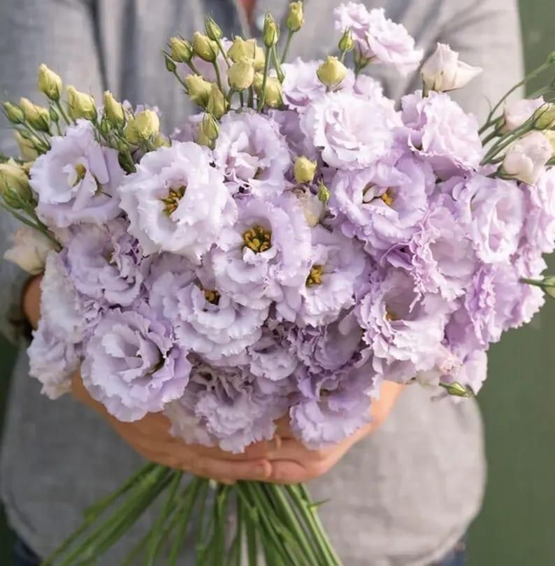 Lisianthus Seeds